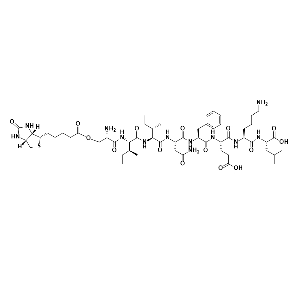Biotin-OVA  生物素-鸡卵白蛋白的产品保存指南