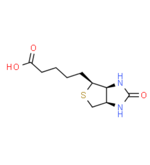 Biotin-PEG-Alkene  生物素-聚乙二醇-烯烃的产品综述