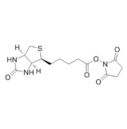 Biotin-NHS  生物素-N-羟基琥珀酰亚胺酯的产品衍生