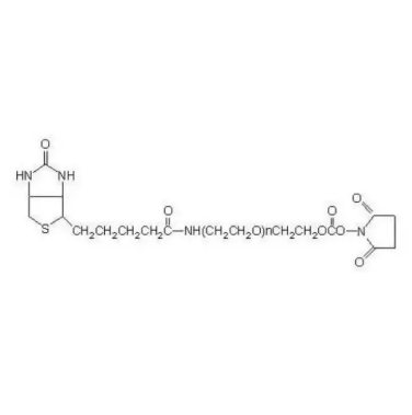 生物素聚乙二醇琥珀酰亚胺碳酸酯  Biotin-PEG-SC的产品科普