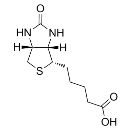 生物素-聚乙二醇-聚乳酸-羟基乙酸共聚物  biotin-PEG-PLGA的产品科普