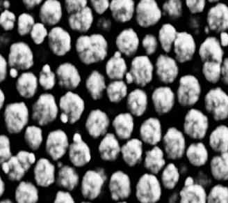Streptavidin-Modified Polystyrene@Fe3O4 Microspheres (10 μm)的科研应用