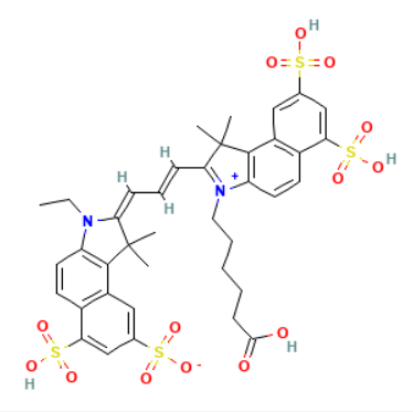 反应温度对Cy3.5-PAA标记效果的影响  