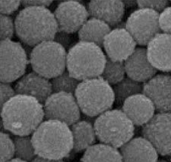 Hollow Mesoporous Manganese Dioxide (80-100nm)