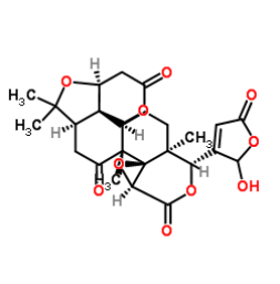PLL-CA,聚赖氨酸-柠檬酸结合物
