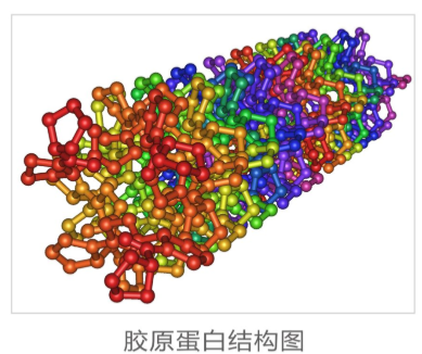 酶解响应型 Collagen-FITC的产品称量技巧