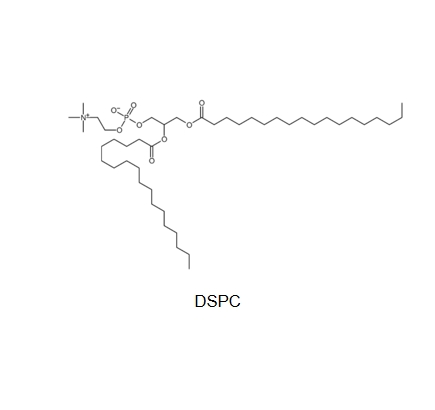 DSPC 二硬脂酰磷脂酰胆碱的物理化学性质  