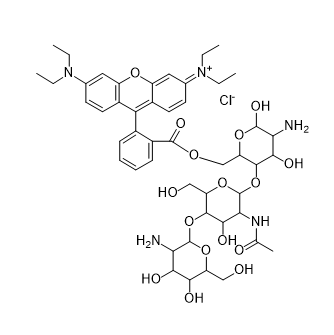 RB-CMCS,罗丹明 B 标记羧甲基壳聚糖