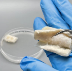 ROS-Triggered Hydrogel Scaffold,活性氧响应型空载水凝胶
