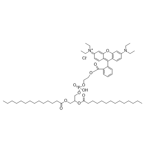 Rho-DMPE,罗丹明-二肉豆蔻酰磷脂酰乙醇胺