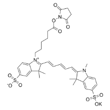 Sulfo-Cy5 NHS ester的标记反应  