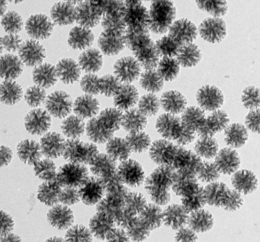 MSN-RNA 介孔二氧化硅RNA载体制备方法