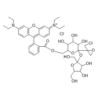 RB-Polysucrose,罗丹明标记的聚蔗糖