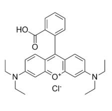 罗丹明B  Rhodamine B的光谱特性  