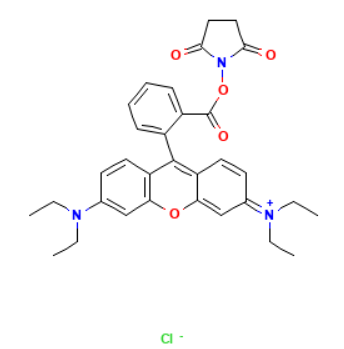 RB-NHS 罗丹明B-活性酯的荧光稳定性  