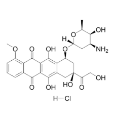  RB-DOX 荧光标记阿霉素的优势与局限性  