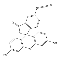 异硫氰酸荧光素标记hepatoma靶向肽SP94的系列产品
