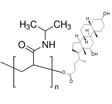 PNIPAAm-Deoxycholic acid,聚N-异丙基丙烯酰胺-脱氧胆酸