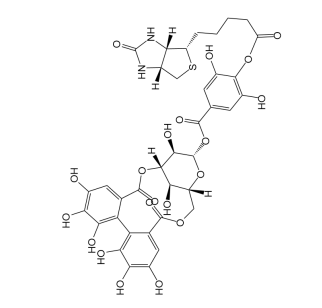 Corilagin-Biotin Conjugate 生物素-柯里拉京偶联物的科研应用