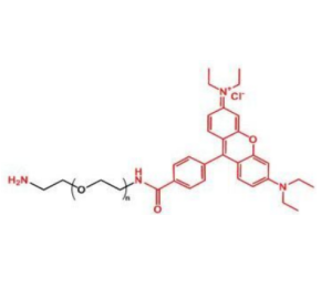 Rhodamine B-PEG3400-NH2 两亲性荧光成像探针的产品保存指南