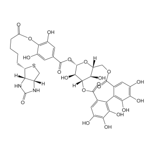 靶向递送型生物素-柯里拉京的优缺点