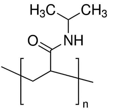 PNIPA,聚N-异丙基丙烯酰胺