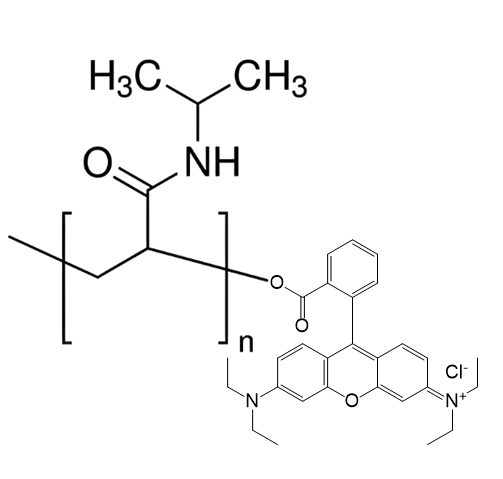 PNIPAM-RB,罗丹明标记聚N-异丙基丙烯酰胺