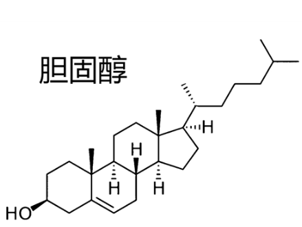 RB-Chol 罗丹明-胆固醇的产品称量技巧
