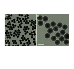 NH2-maleimide在制备氨基修饰介孔氧化硅纳米材料中的应用