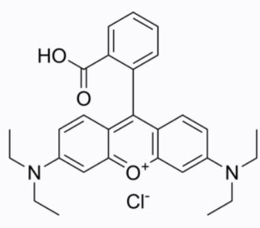 疏水性可调型 RB-胆固醇 RB-Cholesterol conjugate的物理性质和应用
