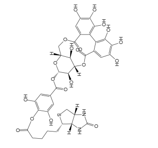 生物检测探针型生物素-柯里拉京的制备方法