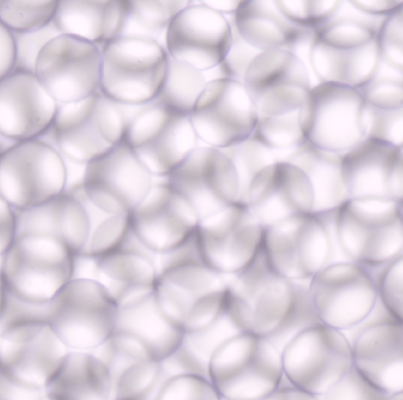 Poly(lactic-co-glycolic acid) Microspheres Loaded with Ginsenoside Rg3