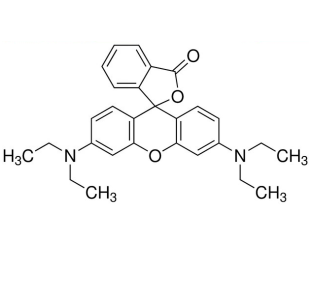 Rhodamine-Cholesterol 罗丹明B-胆固醇