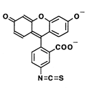 FITC-SiO2 NPs 荧光素标记二氧化硅纳米粒子