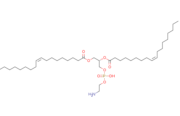DSPE-PGLP-1 二硬脂酰基磷脂酰乙醇胺-双肽 1的生物相容性