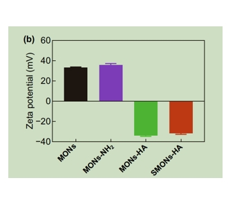 MONs、MONs-NH2、MONs-HA和SMONs-HA的zeta电位