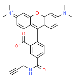 5-TAMRA-alkyne,5-羧基四甲基罗丹明-炔基