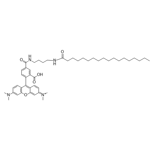 5-TAMRA-stearic acid,5-羧基四甲基罗丹明-硬脂酸