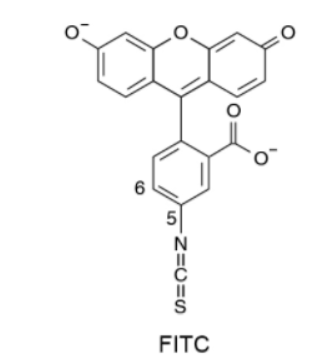 FITC-AA 异硫氰酸荧光素标记氨基酸的产品称量技巧