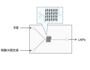LNPs nucleic acid kit,脂质纳米粒核酸转染试剂盒