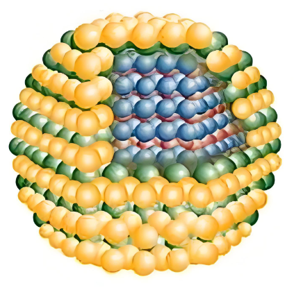 ZnO量子点