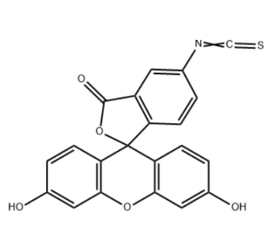 SH-PEG2000-TK-FITC 巯基聚乙二醇2000-酮缩硫醇-异硫氰酸荧光素