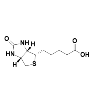生物素修饰卵清蛋白的稳定性及其影响因素