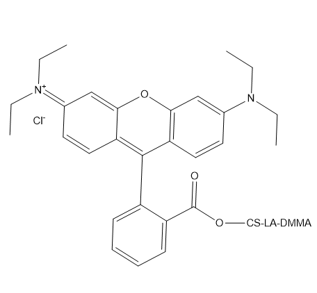 RB-CS-LA-DMMA,罗丹明B-壳聚糖-镧掺杂二甲基马来酸酐共聚物​