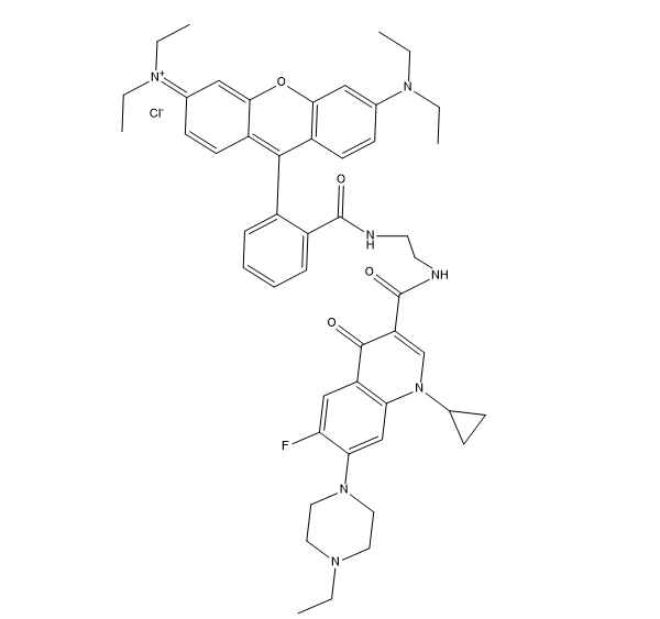 RB-enrofloxacin,罗丹明B标记恩诺沙星​