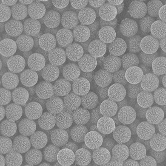SiO2-NH2 microspheres,氨基化二氧化硅微球