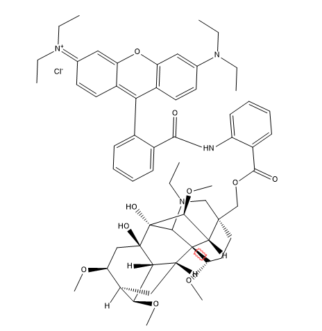 RB-inulin,罗丹明B标记菊粉