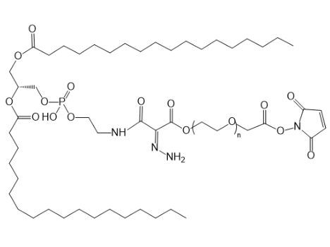 膜亲和-亲水延展-巯基反应型分子 DSPE-HYD-PEG2K-MAL的制备方法