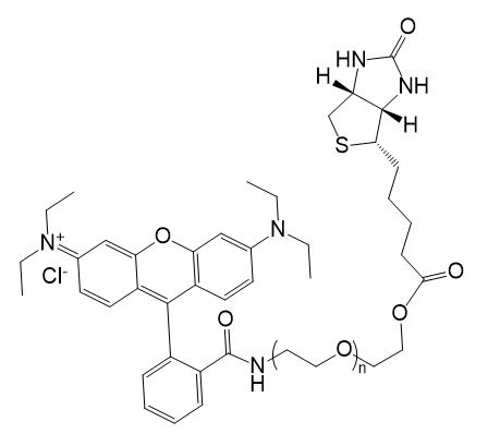 RB-PEG-Biotin,罗丹明B-聚乙二醇-生物素