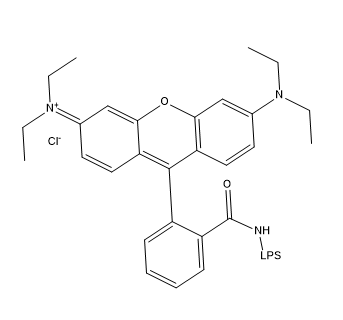 RB-LPS,罗丹明B标记脂多糖​